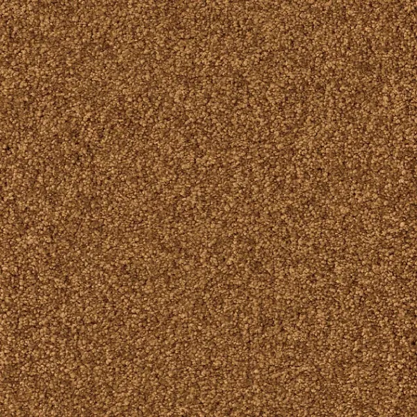 Draufsicht Girloon Cloud 280 Velours Teppichboden